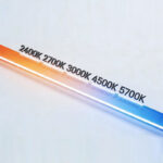 Flexible LED Neon Lights - Flexible Lights - Vistura Culture & Trade Co., Ltd.